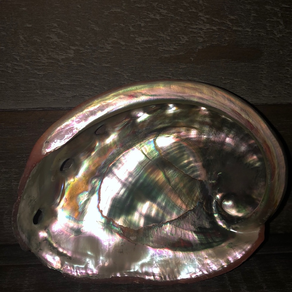 Shell